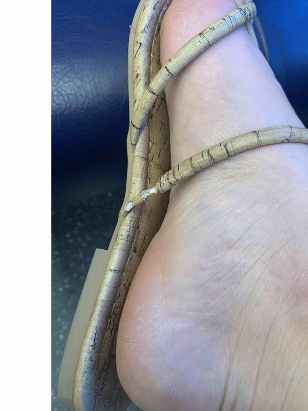 Fell apart on first wear