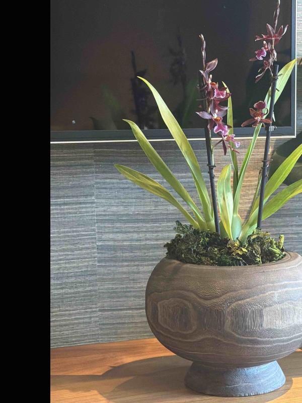 Review Thumbnail Image 0 249009324