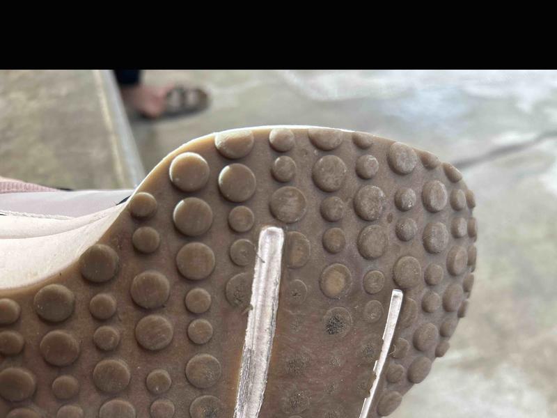 Review Thumbnail Image 0 244024024