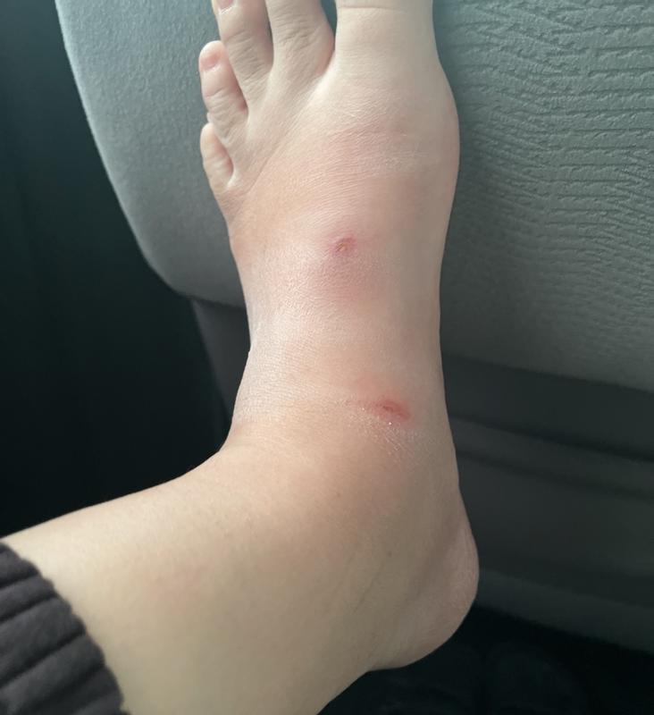 Review Thumbnail Image 0 249050029