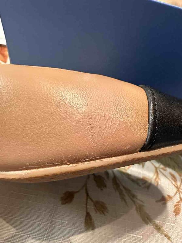 Review Thumbnail Image 0 245640560