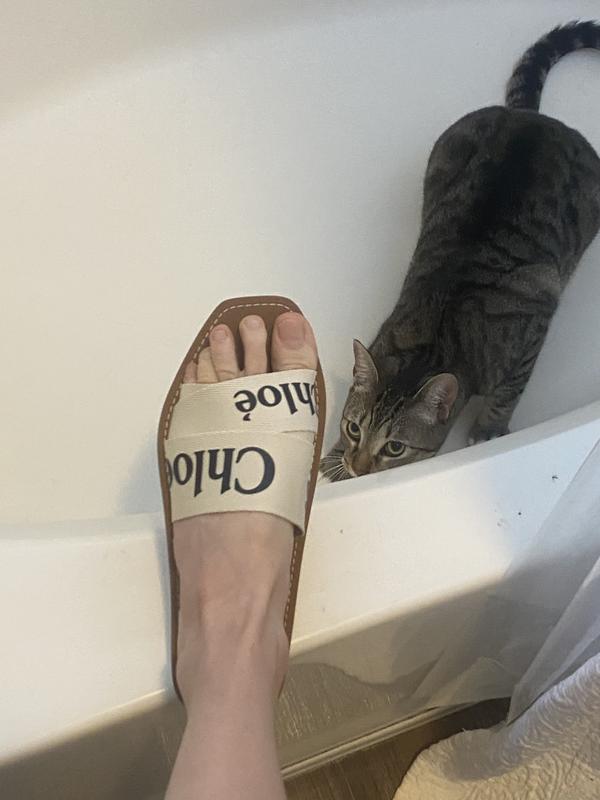 Chloé Woody Logo Slide Sandal (Women) Nordstrom