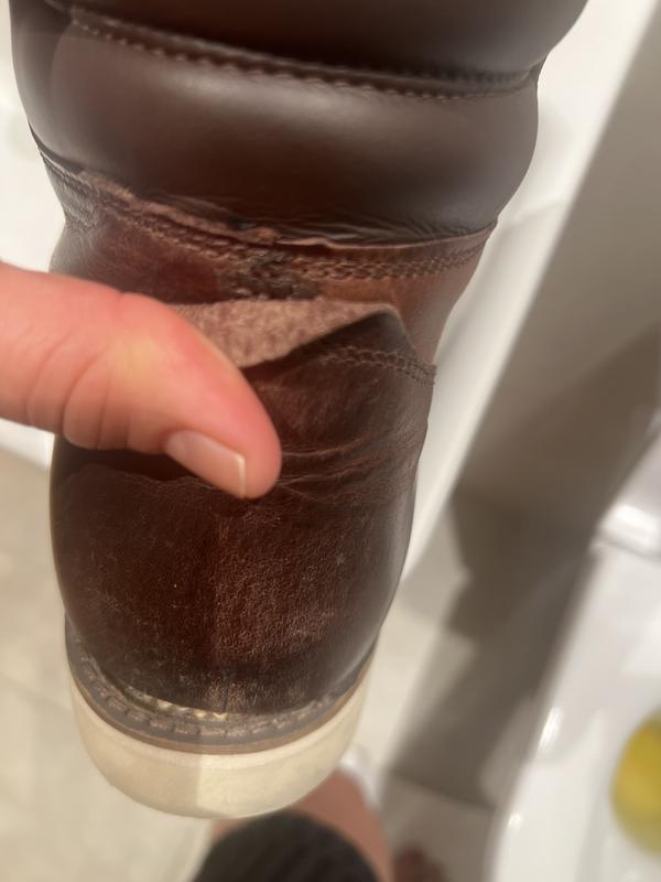 Review Thumbnail Image 1 238748570