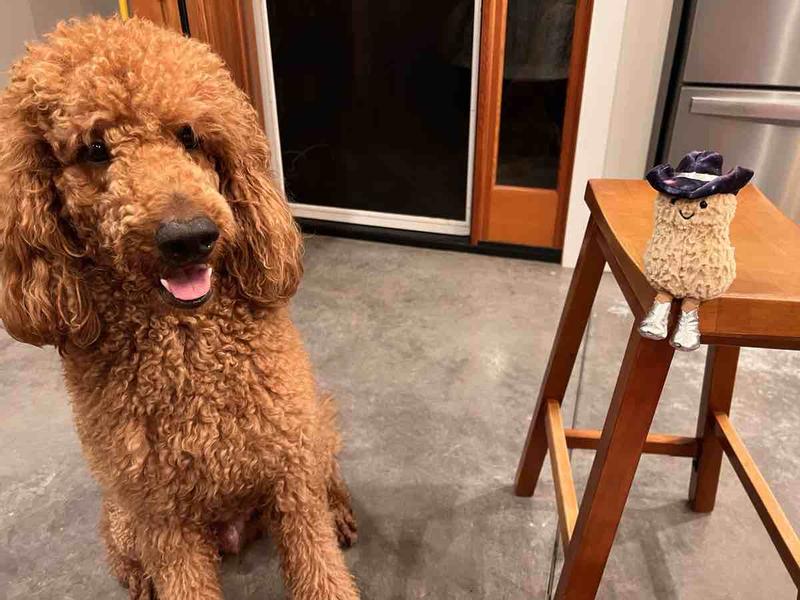 Review Thumbnail Image 2 249007686