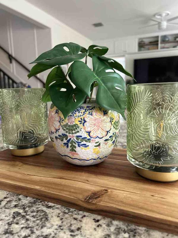 Review Thumbnail Image 0 247733384