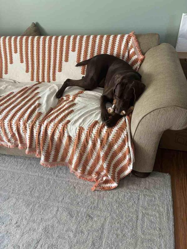 Review Thumbnail Image 0 244491000