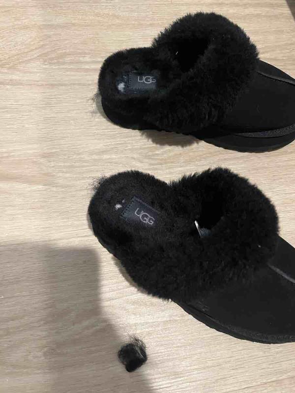 Fur falls out week in