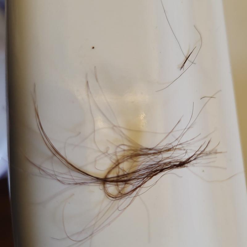 Review Thumbnail Image 1 227075459