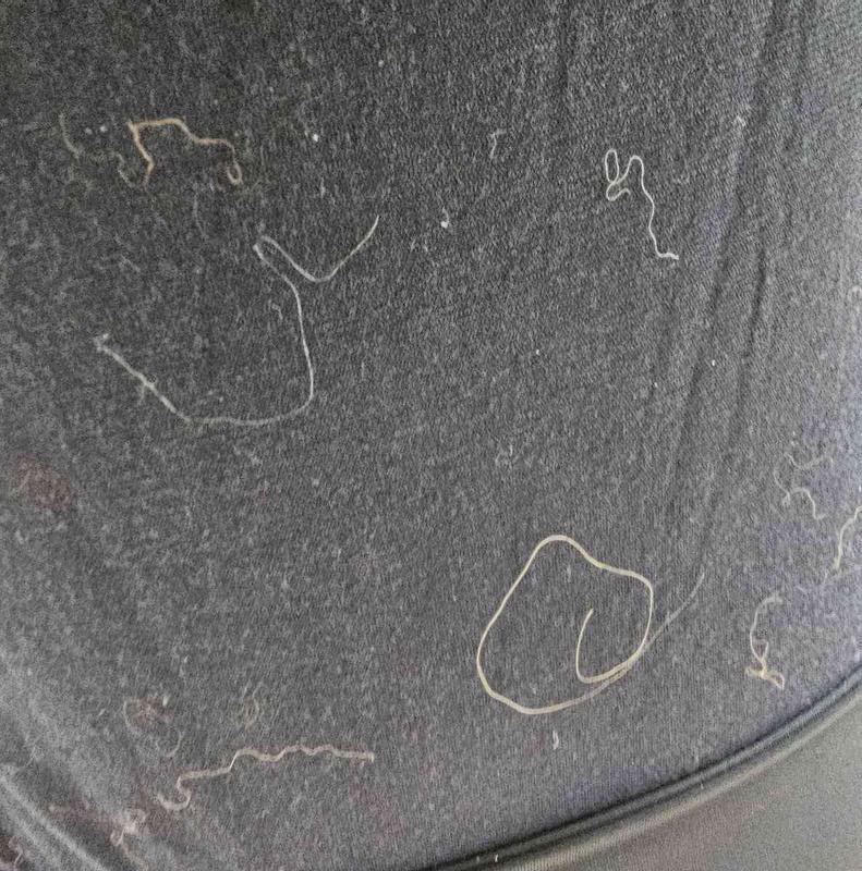 Review Thumbnail Image 4 245184948