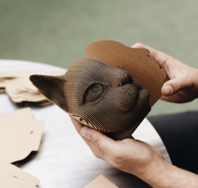 Review Thumbnail Image 0 246363374