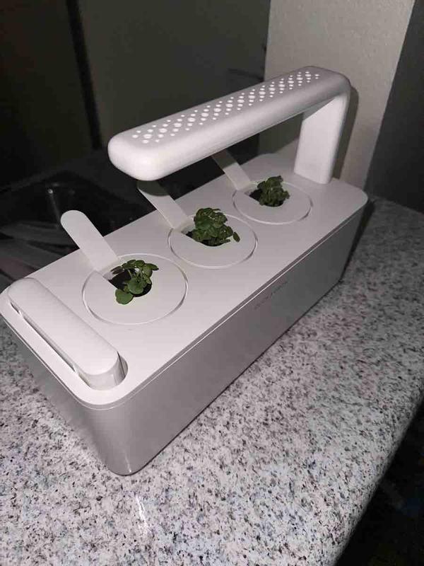 Customer review photo