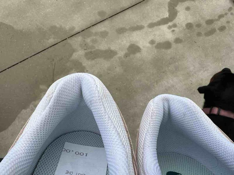 Review Thumbnail Image 5 232870473