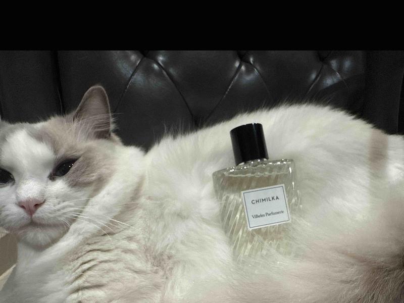 Review Thumbnail Image 0 245895645