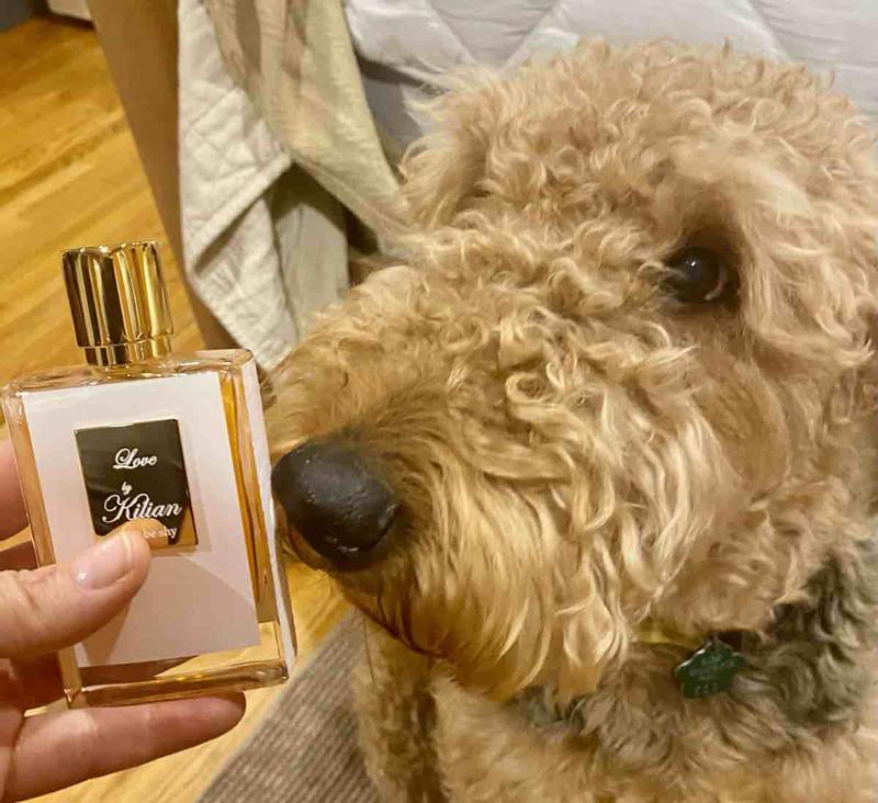 Review Thumbnail Image 0 222479189