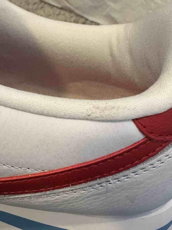 Review Thumbnail Image 4 235932049