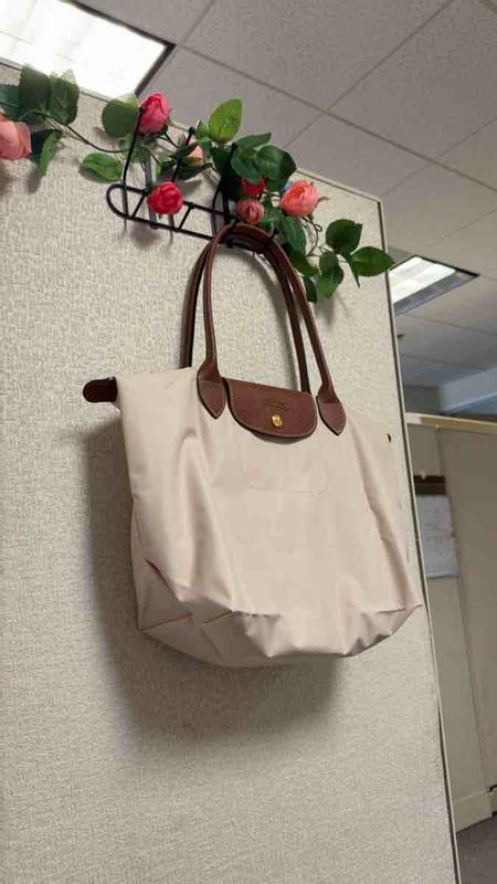 the bag of the summer