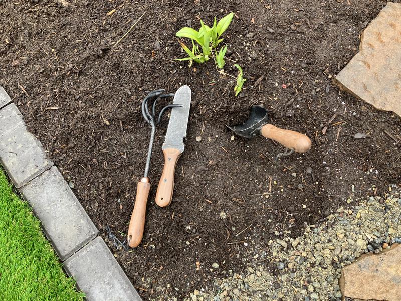 Review Thumbnail Image 1 232119080