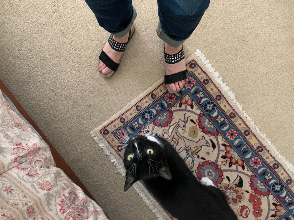 Review Thumbnail Image 0 196014756