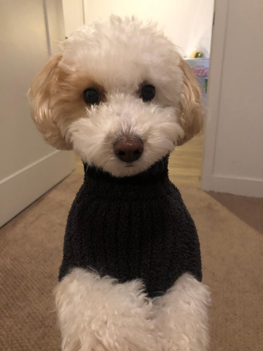 Review Thumbnail Image 0 192413124