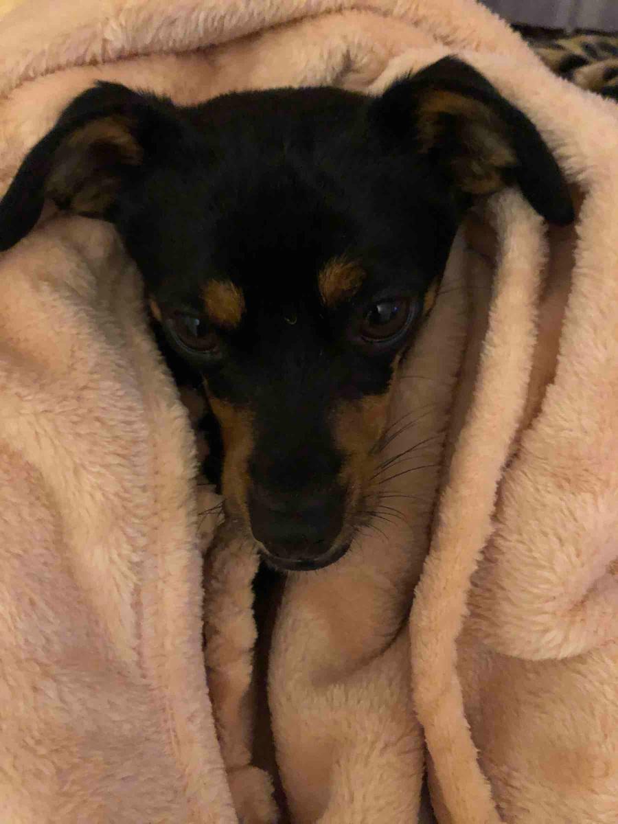 Review Thumbnail Image 1 192040064