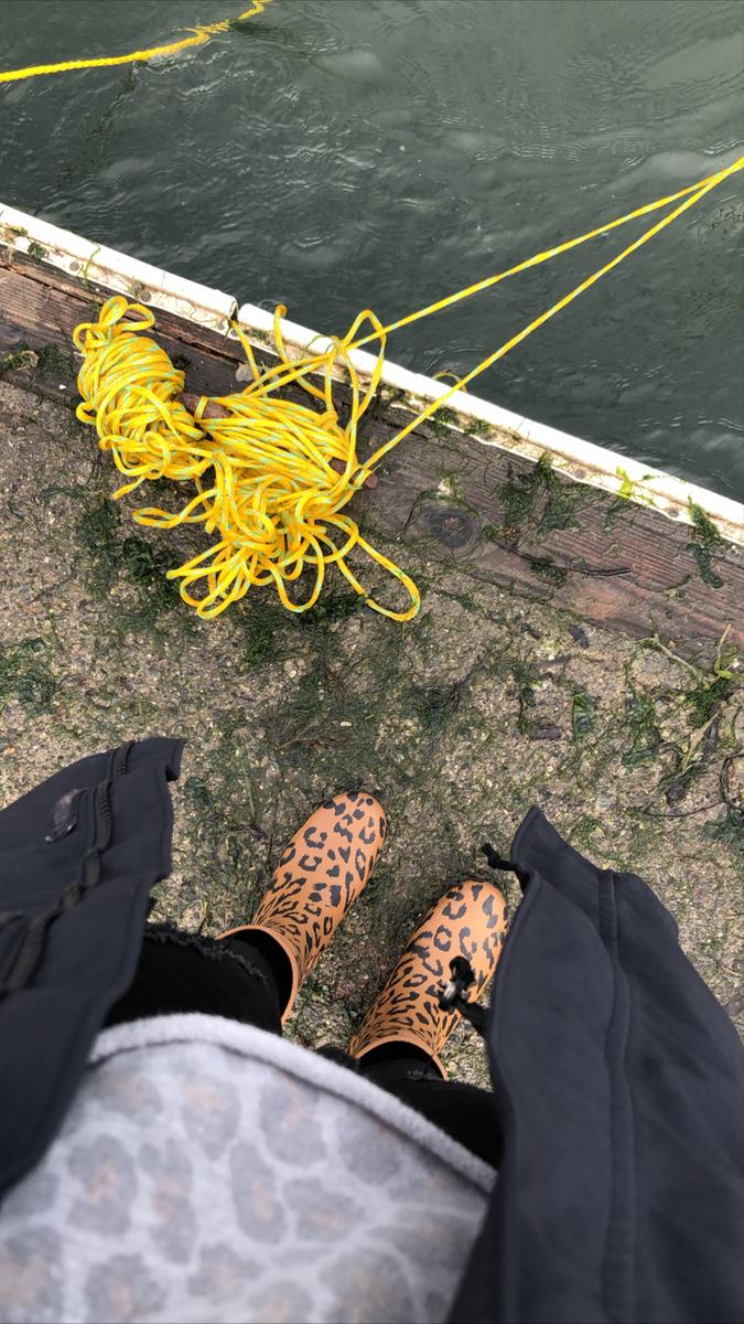 Review Thumbnail Image 0 200347949