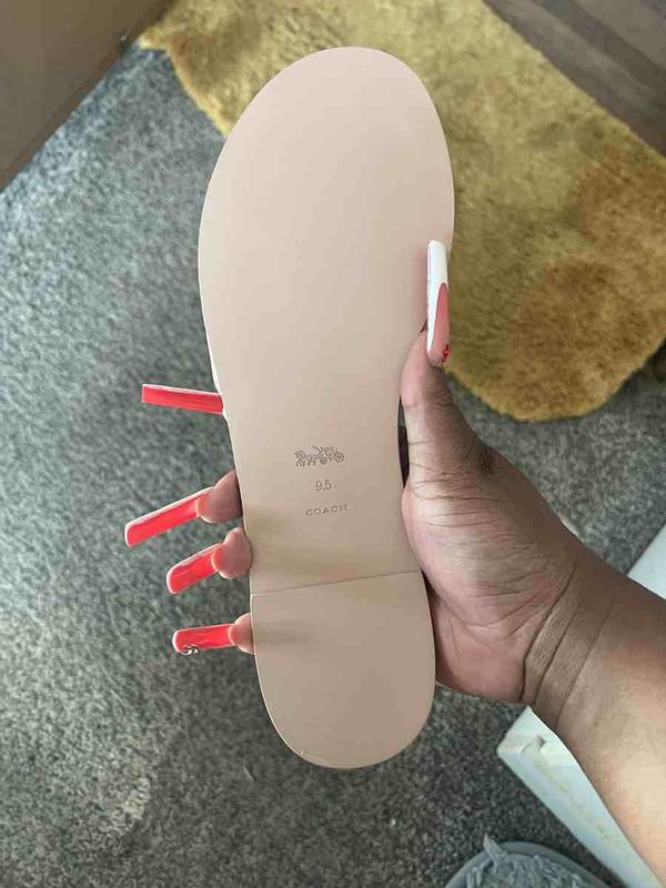 Review Thumbnail Image 2 231935392