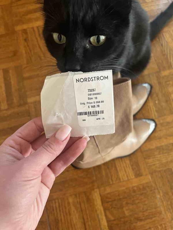 Review Thumbnail Image 0 242593030