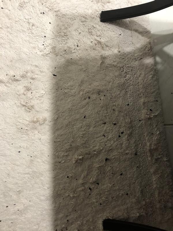 Review Thumbnail Image 1 223430195