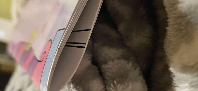 Review Thumbnail Image 0 246485846