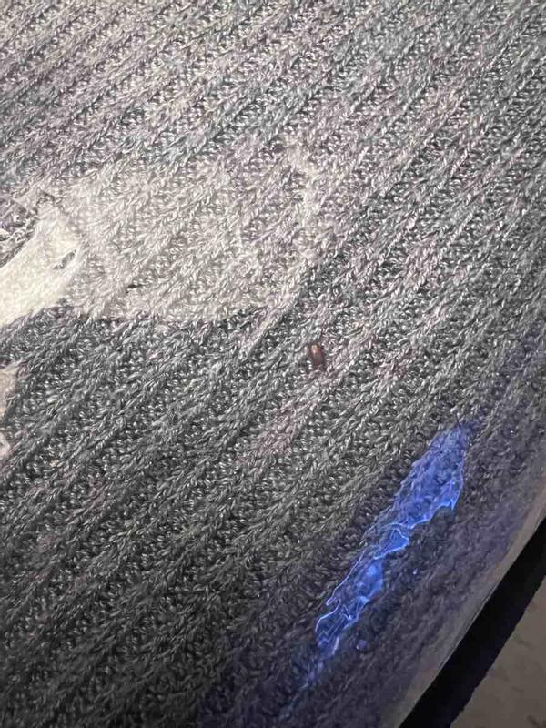 Review Thumbnail Image 0 230393599