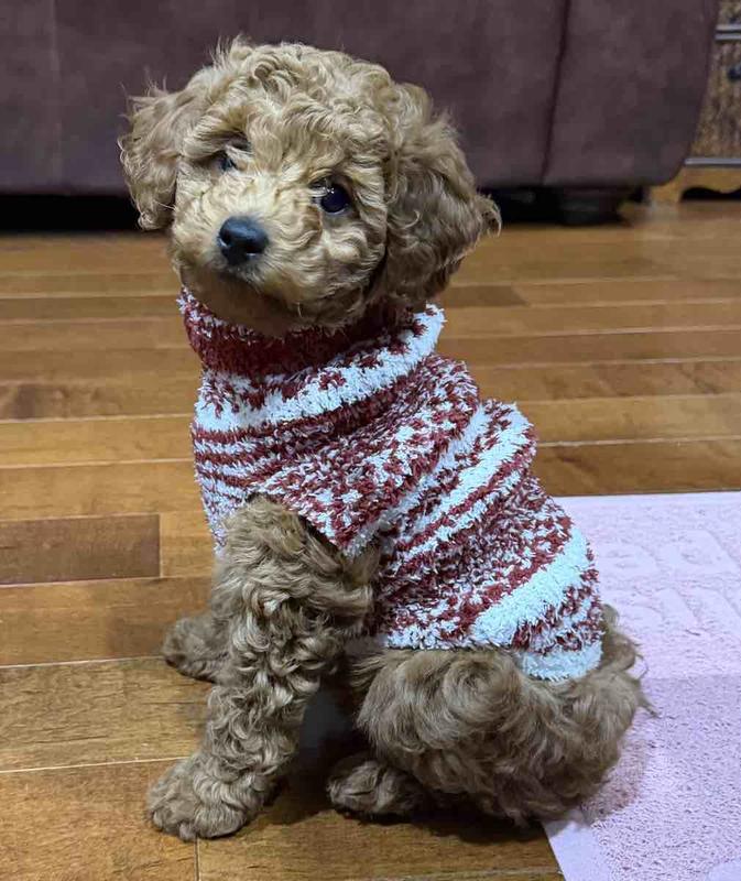 Review Thumbnail Image 0 246055892