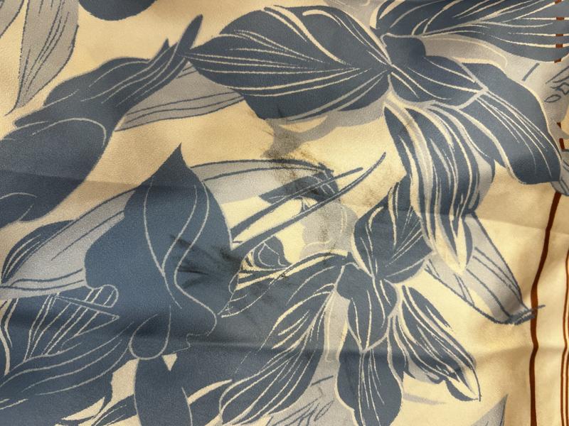 Review Thumbnail Image 0 244030750