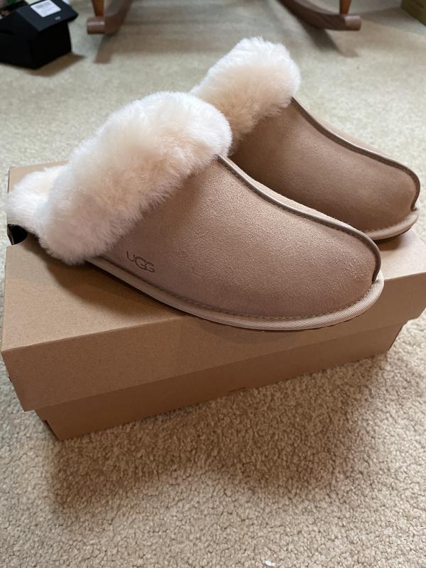 Absolutely beautiful UGG slippers!