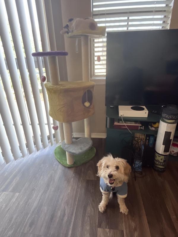 Review Thumbnail Image 1 235322301