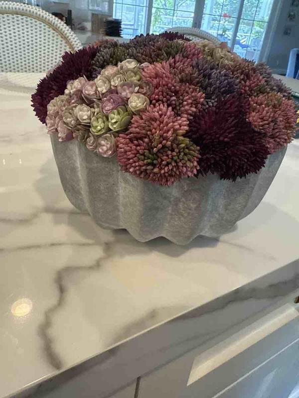 Review Thumbnail Image 0 241112674