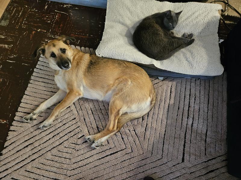 Review Thumbnail Image 0 230472190