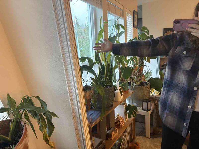 Review Thumbnail Image 1 246413081