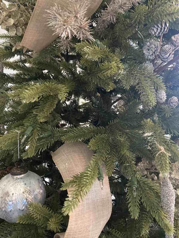 Review Thumbnail Image 2 221365750