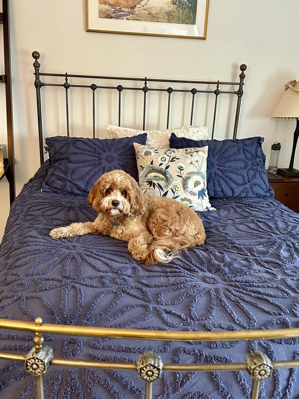 Review Thumbnail Image 0 231459089