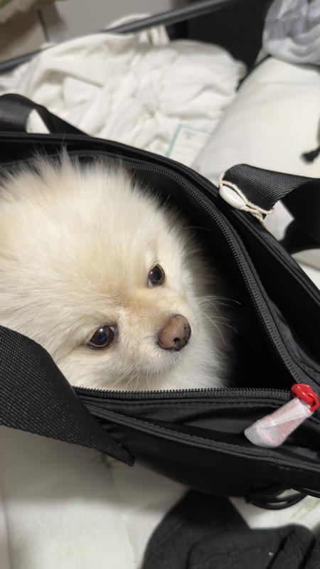 Review Thumbnail Image 1 246370505