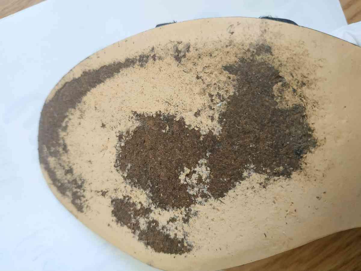 Review Thumbnail Image 1 195958384