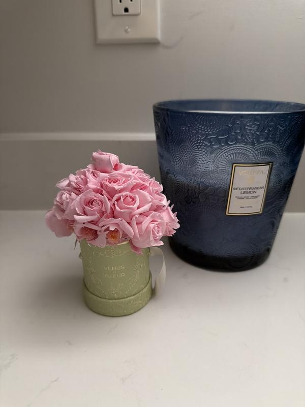 Review Thumbnail Image 0 248899516