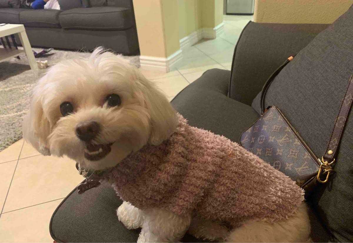 Review Thumbnail Image 0 192635819