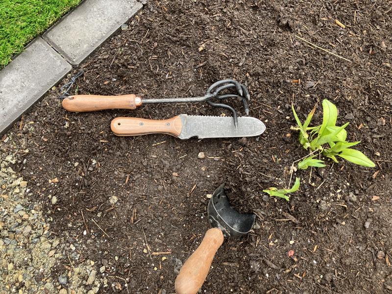 Review Thumbnail Image 0 232119080