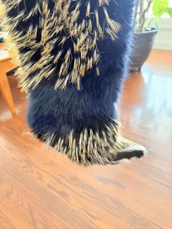 Review Thumbnail Image 1 245896800