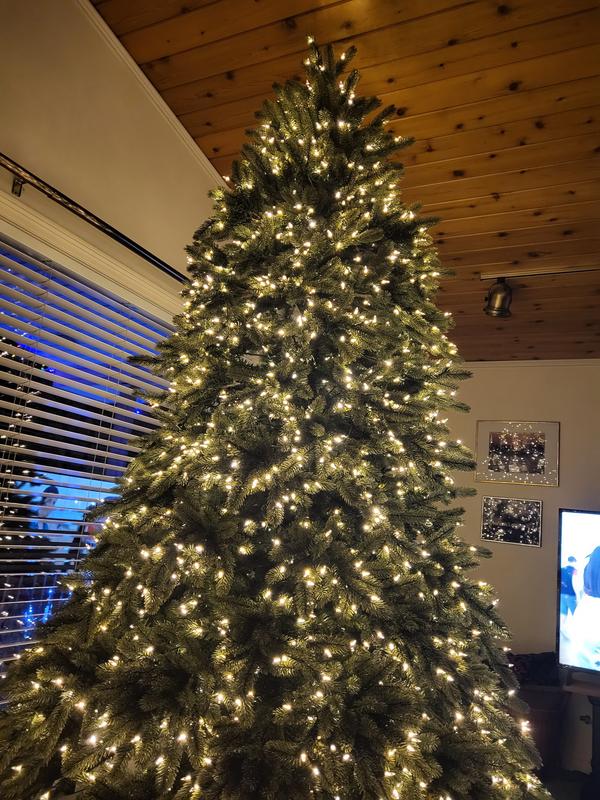 Review Thumbnail Image 1 222046346