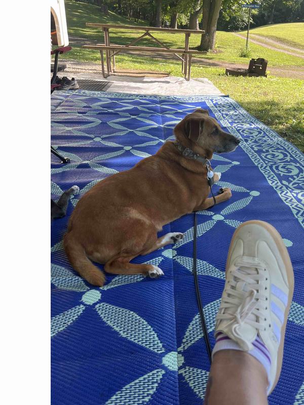 Super cushy and cute!