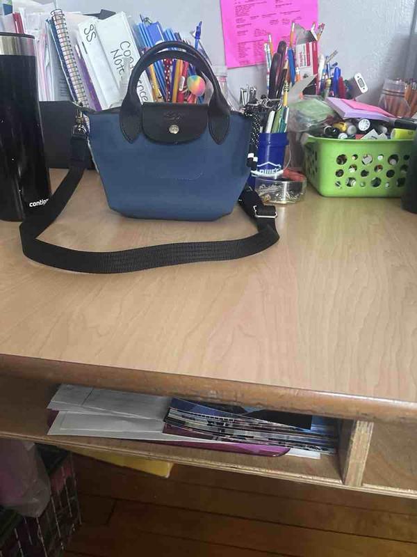 Customer photo for "big little purse"