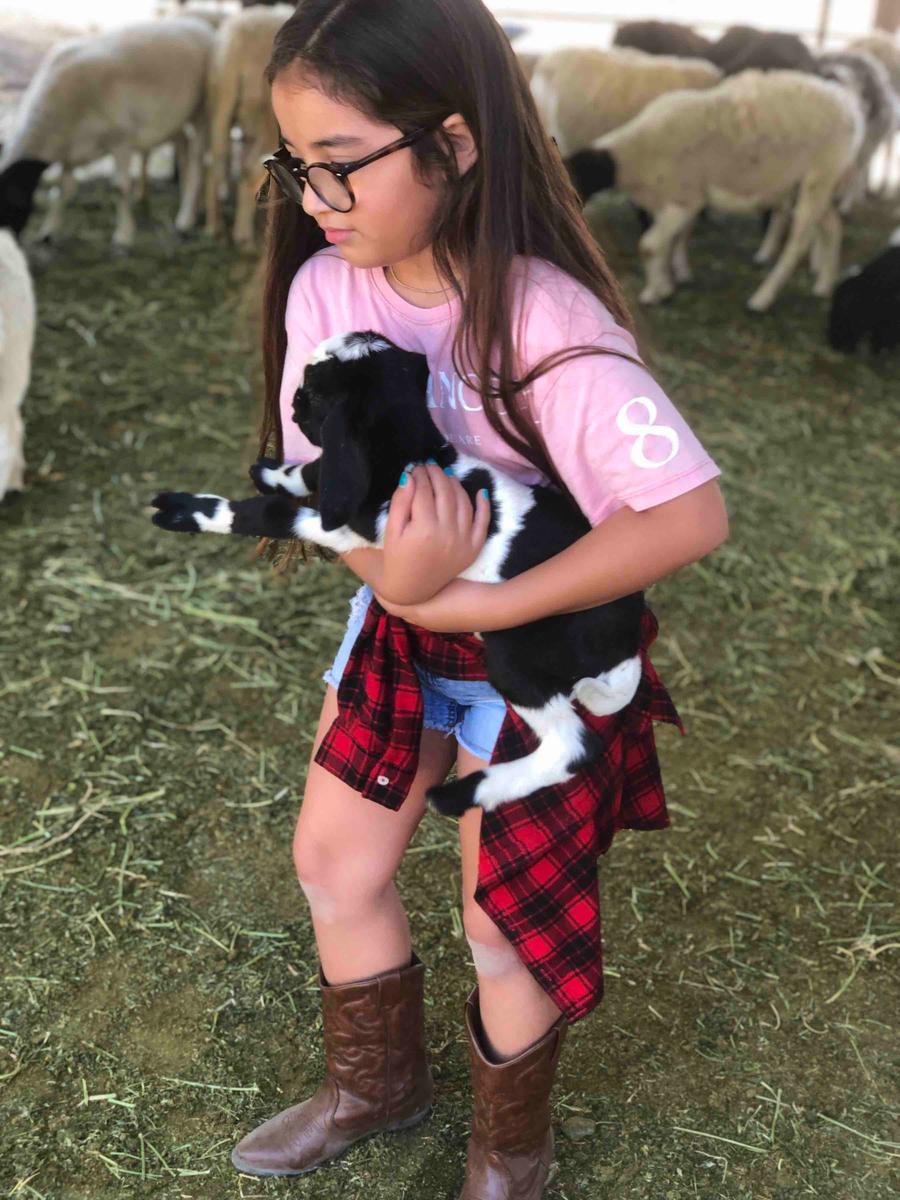 Review Thumbnail Image 2 198051954