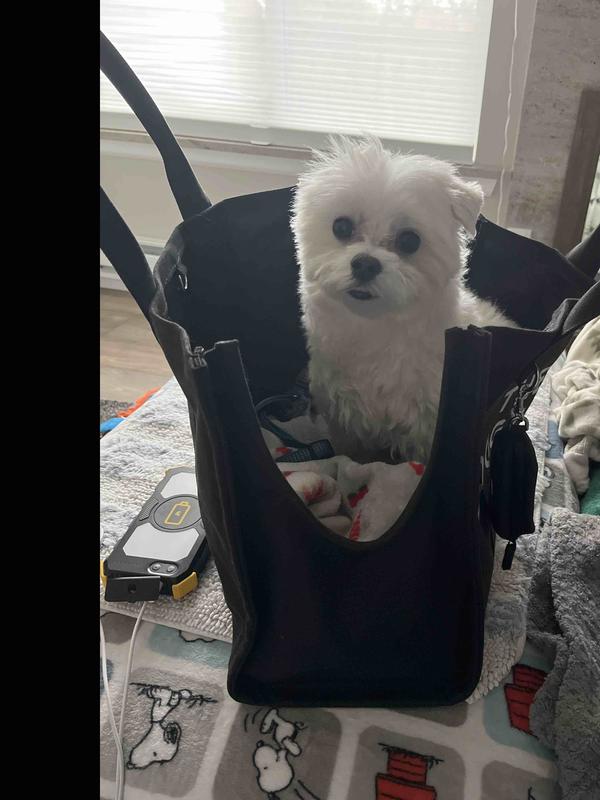 Review Thumbnail Image 1 245638506